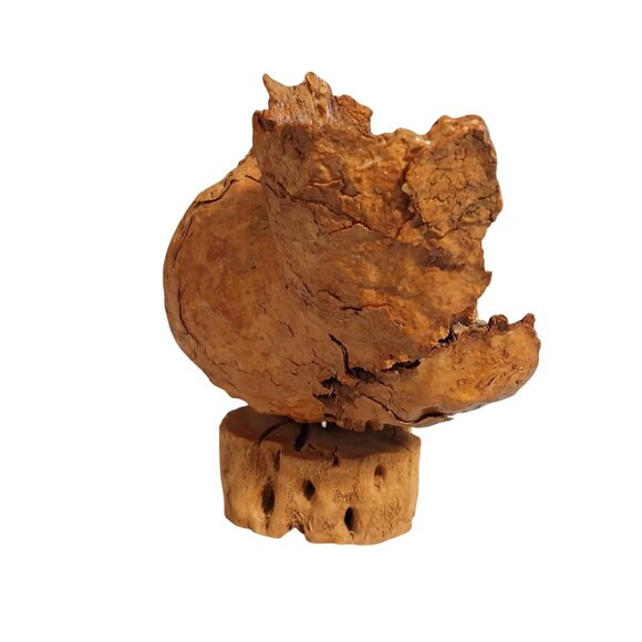 Pueblo Cholla Cactus Sculpture Vintage - Picture 5 of 8